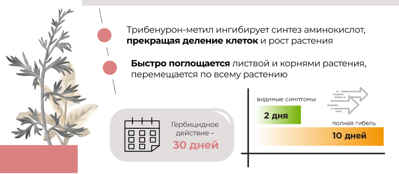 Механизм действия Гран-при