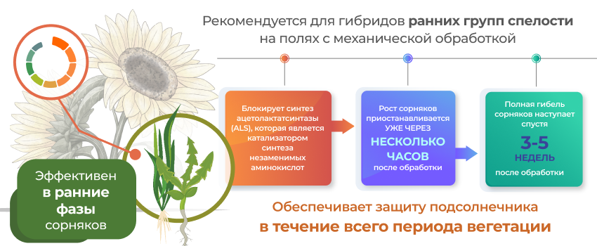 Механизм действия Челленджер