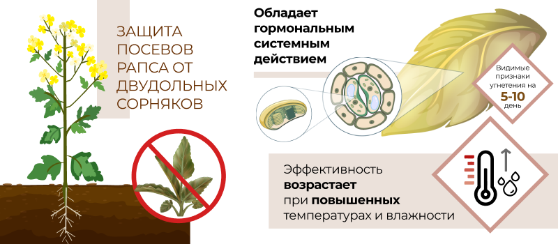 Механизм действия Megalit