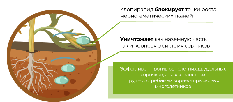 Механизм действия Monolit