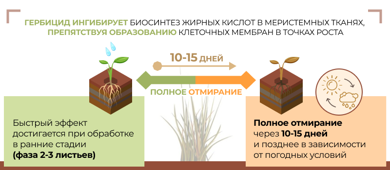 Механизм действия Тайгер