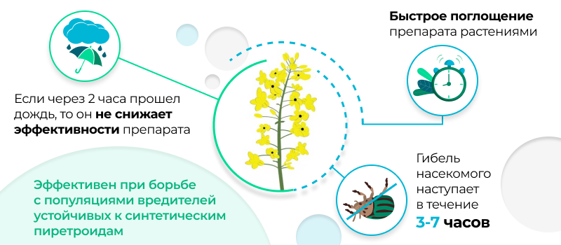 Механизм действия Норил