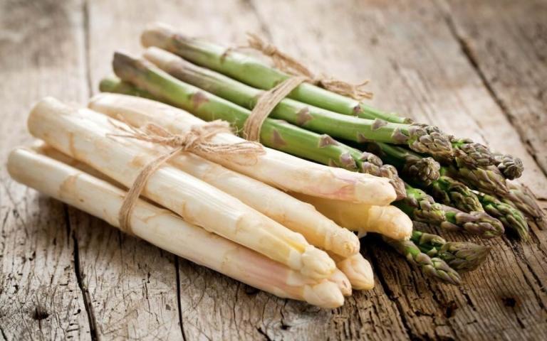 Спаржа лекарственная - Asparagus officinalis L.