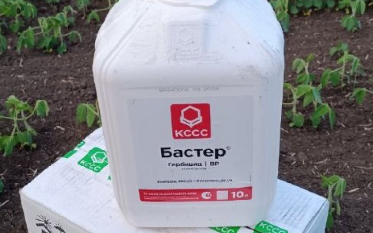 Treatment with products Торговый Дом «Кирово-Чепецкая Химическая Компания»