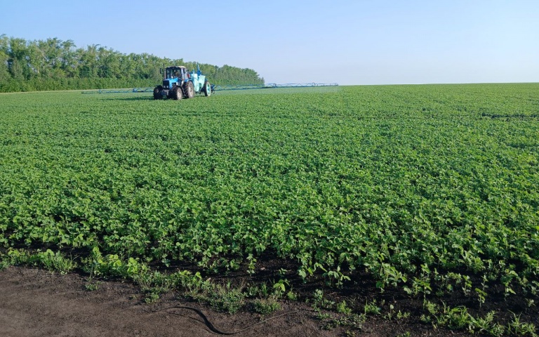 Treatment with products Trade House «KCCC»